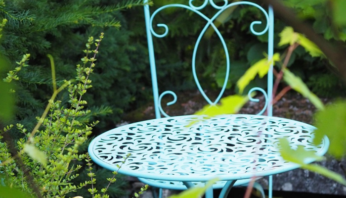 今年夏天，这种热带鱼在北卡罗来纳州水域第二次打破纪录