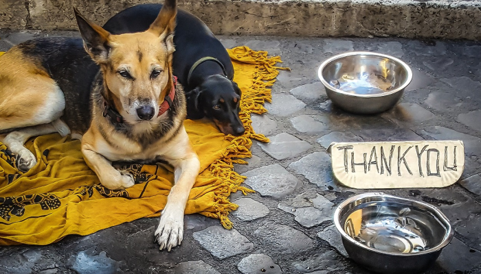 可用版本“同城比鸡买挂被骗”其实确实有挂 可用版本“同城比鸡买挂被骗”其实确实有挂