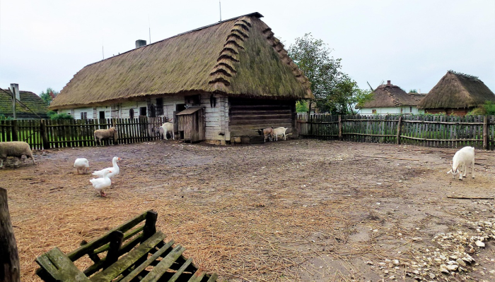 在购买了156英亩土地后,鲍德温县将有更多的住宅开发项目 在购买了156英亩土地后,鲍德温县将有更多的住宅开发项目