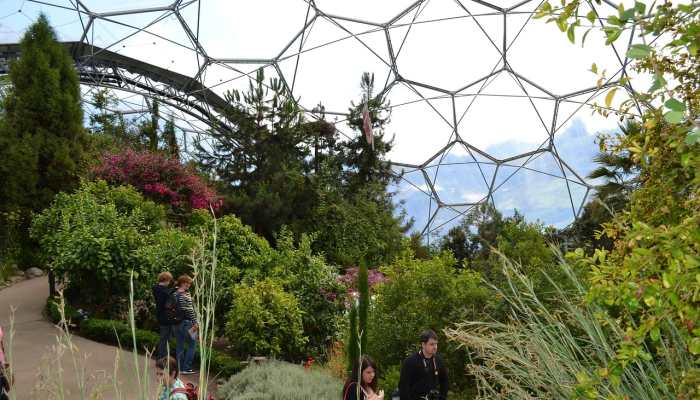 环境部修复草地120多万平方米 环境部修复草地120多万平方米