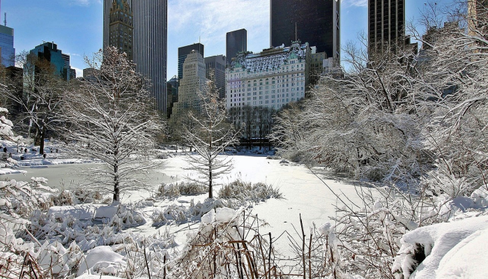 下周纽约市和三州将迎来更多冬季风暴