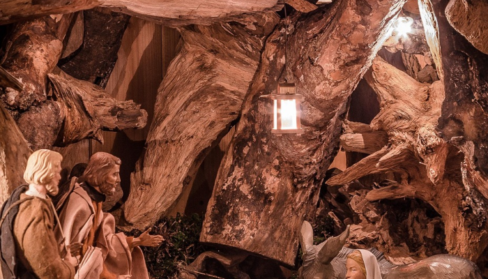 海地人在2018年新墨西哥州突袭事件中认罪