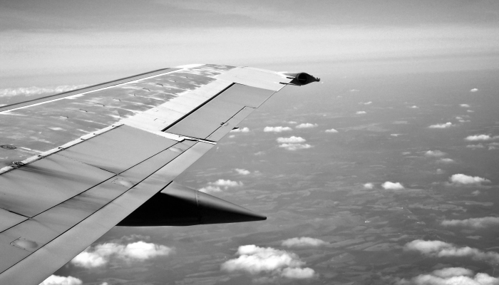 学院信托基金的负责人被推荐为教育标准局的新任首席督察 学院信托基金的负责人被推荐为教育标准局的新任首席督察