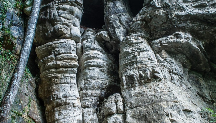 巴西的塞拉达卡皮瓦拉洞穴壁画正面临威胁 巴西的塞拉达卡皮瓦拉洞穴壁画正面临威胁