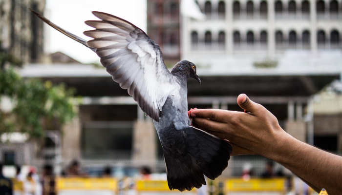 奥马尔：政府需要一个借口把我们软禁起来