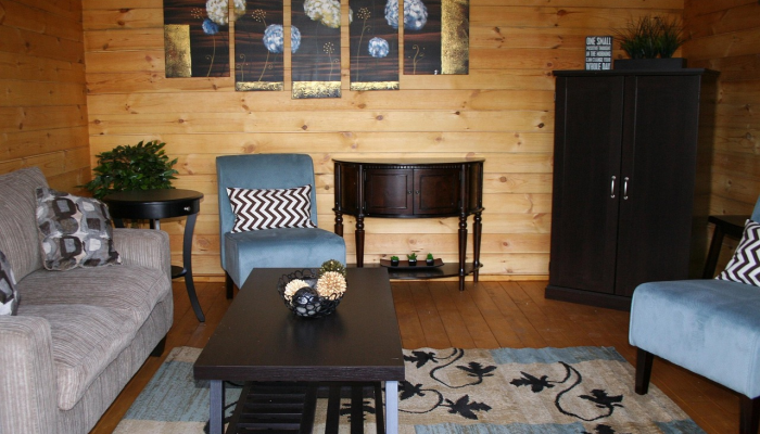 如何让宠物友好的室内设计不牺牲风格 如何让宠物友好的室内设计不牺牲风格