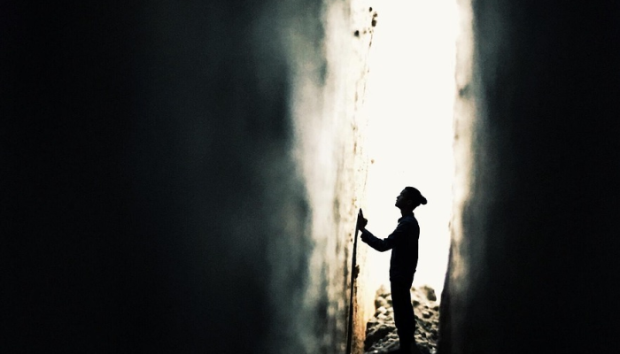 明尼苏达州：选举之夜会发生什么