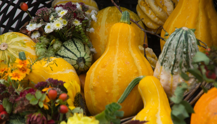 南瓜的力量:这种南瓜是超级食物的7个原因 南瓜的力量:这种南瓜是超级食物的7个原因