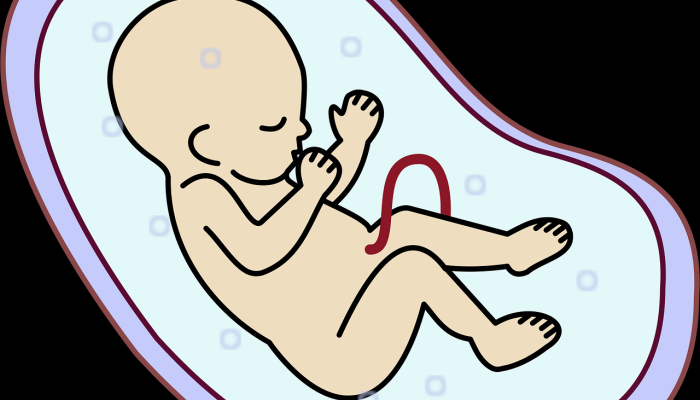 怀孕期间高胆固醇正常吗? 怀孕期间高胆固醇正常吗?