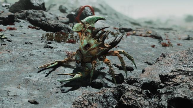 Starfield: Kreet Stalker