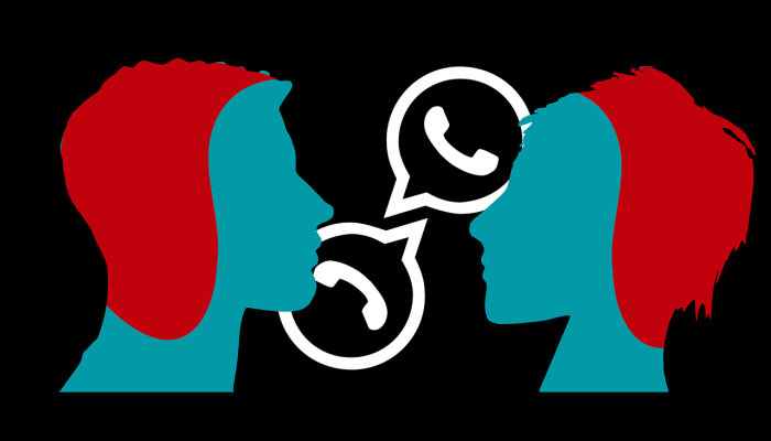 体育——德勤(Deloitte)： 2024年，女性精英体育收入将突破10亿美元