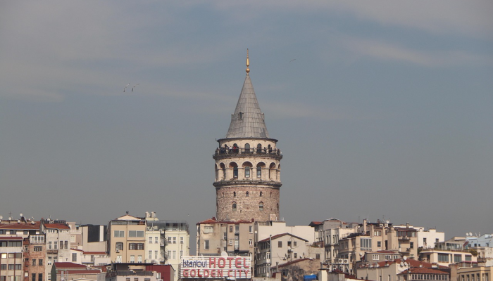 南多的卡塔尔参加了在多哈举行的非洲日庆祝活动